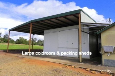 Property photo of 67 Cooke Road Witta QLD 4552