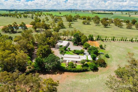 Property photo of 930 Coolamon Road Downside NSW 2650