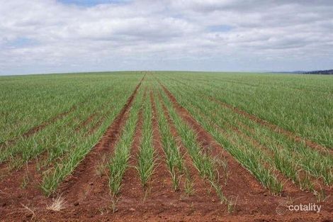 280 Exton Rd, Exton, TAS 7303