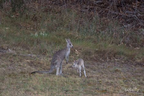 27/20 Beissel St, Belconnen, ACT 2617