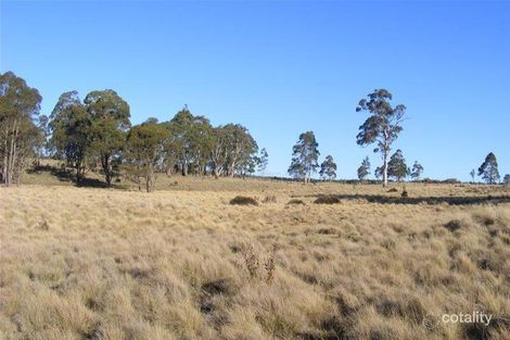 243 Sheepstation Forest Rd, Gingkin, NSW 2787