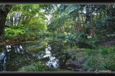 Property photo of 53 Tyalgum Street Mudgeeraba QLD 4213