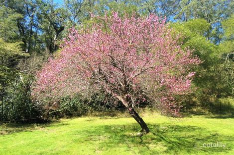Property photo of 500 Caparra Road Caparra NSW 2429