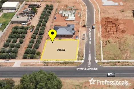 Property photo of 781 Irymple Avenue Irymple VIC 3498