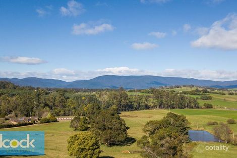 Property photo of 19 Ada Street Scottsdale TAS 7260