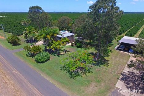 Property photo of 269 Eardleys Road Welcome Creek QLD 4670