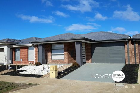12 Ballantine St, Tarneit, VIC 3029