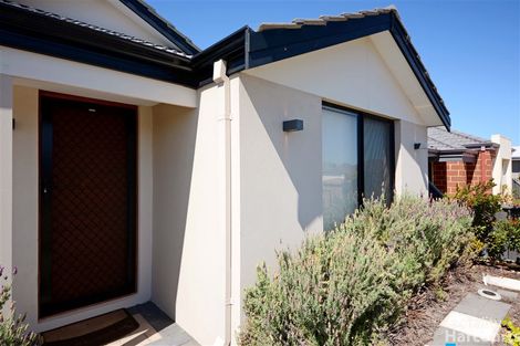 Property photo of 37 Splendens Avenue Banksia Grove WA 6031