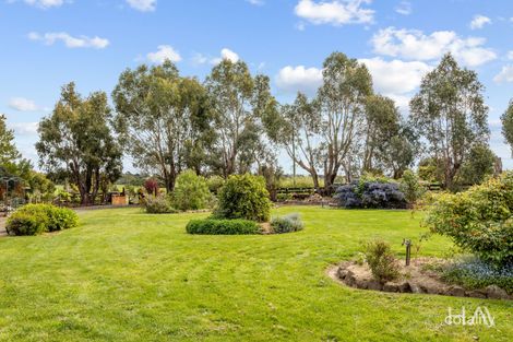 Property photo of 218 Leighlands Road Evandale TAS 7212