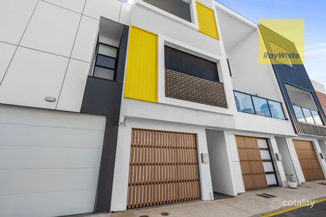 24 Amber Lane, Tonsley, SA 5042