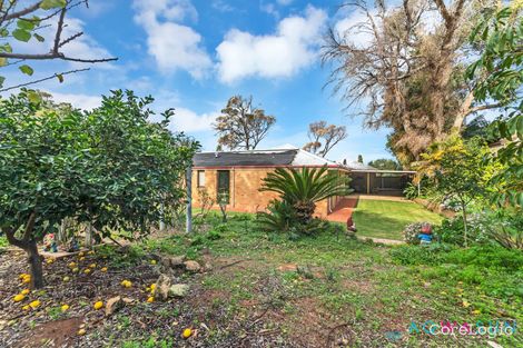 Property photo of 41 Miltona Drive Secret Harbour WA 6173