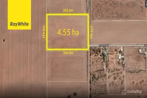 Lot 1051 Jericho Rd, Napperby, SA 5540