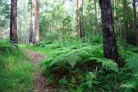 114 Lyon St, Repton, NSW 2454