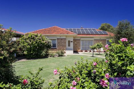 Property photo of 143 Oaklands Road Warradale SA 5046