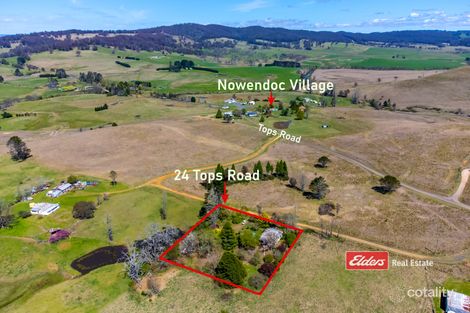 24 Tops Rd, Nowendoc, NSW 2354