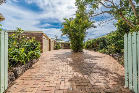 Property photo of 7 Birubi Street Minyama QLD 4575