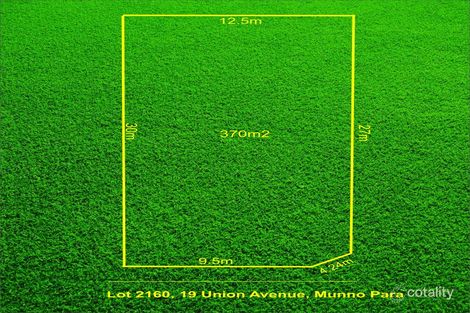 Property photo of 19 Union Avenue Munno Para SA 5115