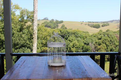 Property photo of 731 Bangalow Road Talofa NSW 2481