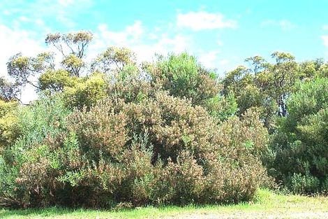 51 Minor Rd, Orana, WA 6330