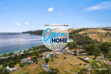 Property photo of 33 Big Roaring Beach Road Surveyors Bay TAS 7116