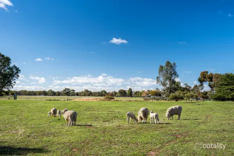 Harts Lane, Avoca, VIC 3467