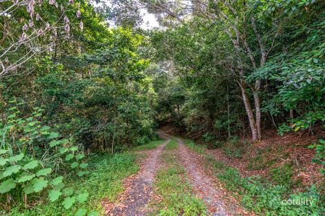 1832 Mossman-Mount Molloy Rd, Julatten, QLD 4871