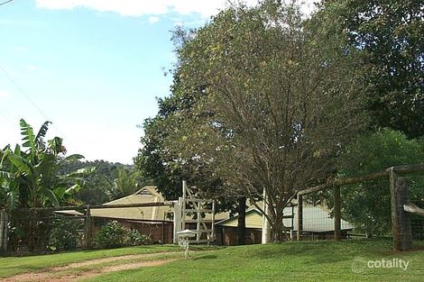 Property photo of 19 Manuka Road Mudgeeraba QLD 4213