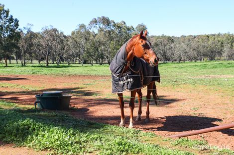 44 Coondle West Rd, Coondle, WA 6566