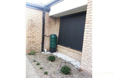 Property photo of 28 Jonquil Street Ormeau QLD 4208