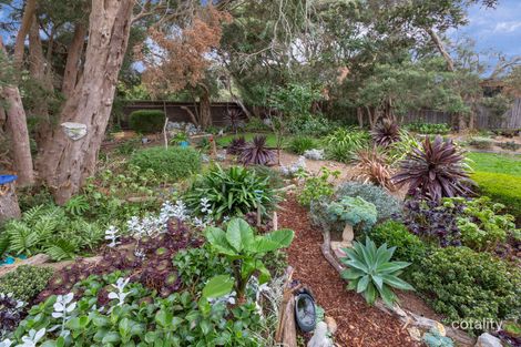 Property photo of 169 Melbourne Road Rye VIC 3941