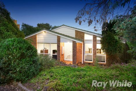 9 Hailsham Ct, Mulgrave, VIC 3170