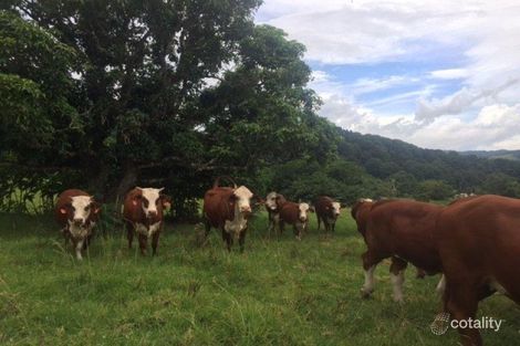 Property photo of 482 Terania Creek Road Terania Creek NSW 2480