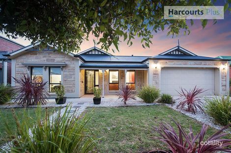 Property photo of 55 Anstey Crescent Kurralta Park SA 5037