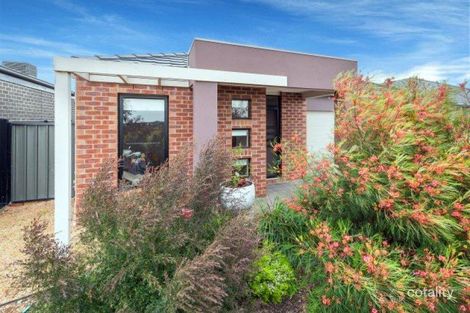 37 Millicent Dr, Craigieburn, VIC 3064