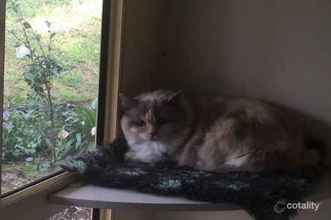 Property photo of 268 Jelbart Road Jindera NSW 2642