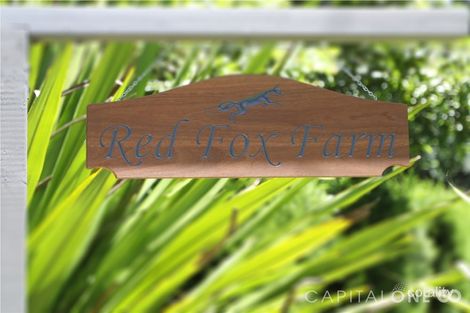 Property photo of 1104 Yarramalong Road Wyong Creek NSW 2259