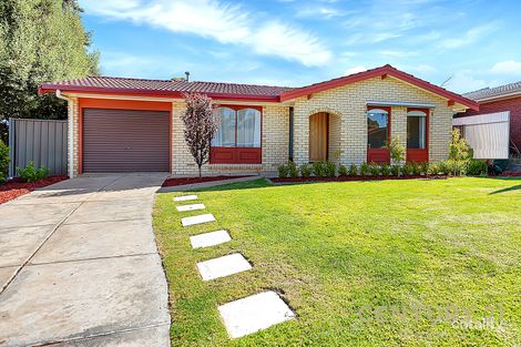 8 Phoebe Ave, Modbury Heights, SA 5092