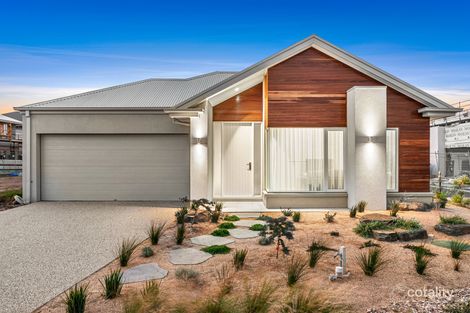 Property photo of 23 Shearwater Grove Point Lonsdale VIC 3225