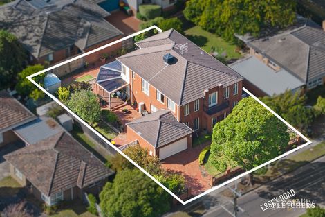 Property photo of 85 Essex Road Mount Waverley VIC 3149