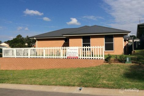 Property photo of 6 Sparsholt Street Tenambit NSW 2323