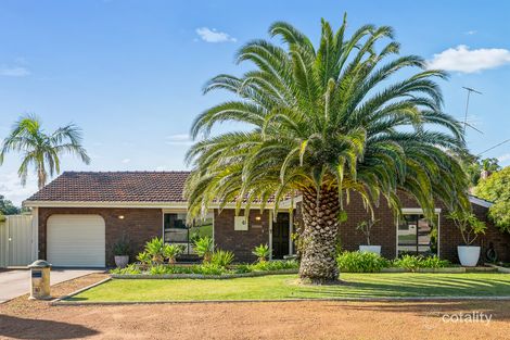 16 Leonard Way, Spearwood, WA 6163
