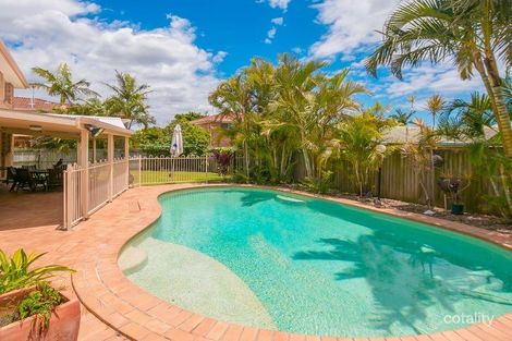 Property photo of 7 Goldcrest Court Birkdale QLD 4159