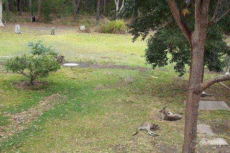 Property photo of 19 Pine Street Bendalong NSW 2539