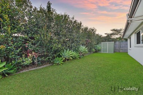 Property photo of 12 Hickory Street Carseldine QLD 4034