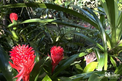 Property photo of 135 Mount Warning Road Mount Warning NSW 2484