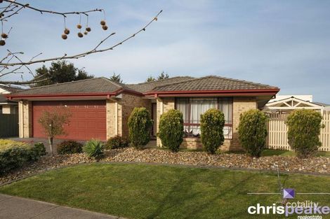 42 The Avenue, Narre Warren South, VIC 3805