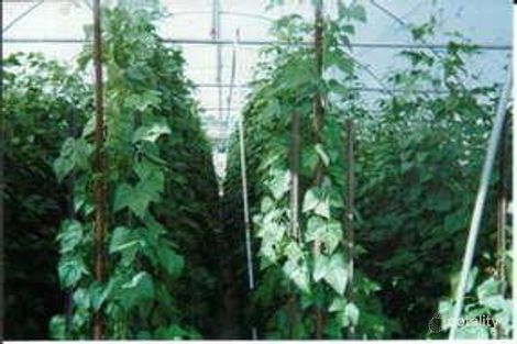 146 Watson Dr, Barragup, WA 6209