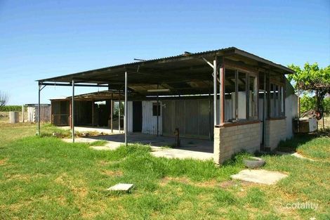 Property photo of 56 Culgoa Street Renmark North SA 5341