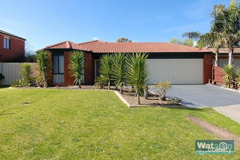 Property photo of 6 Brady Close Lynbrook VIC 3975