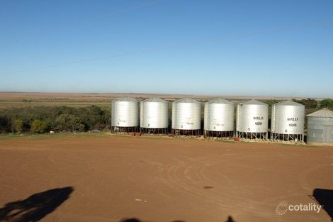 445 Curara Swamp Rd, Pindar, WA 6631